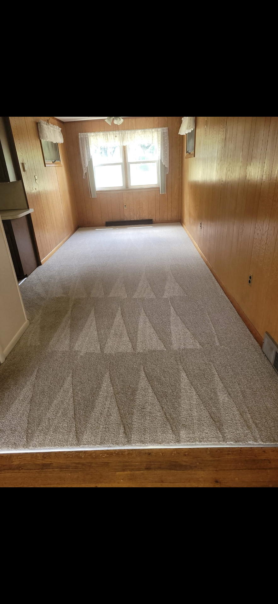 Carpet cleaning
