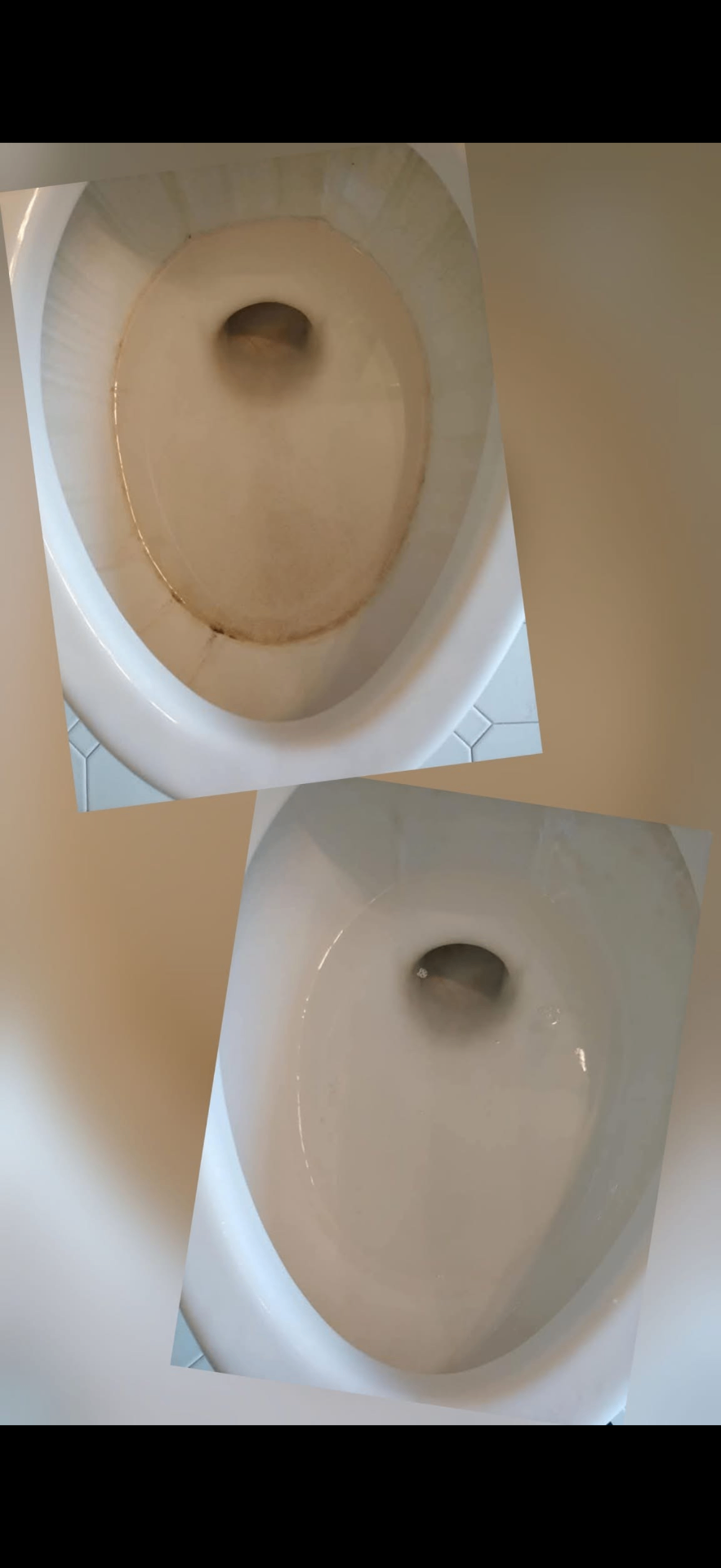 Toilet bowl restoration